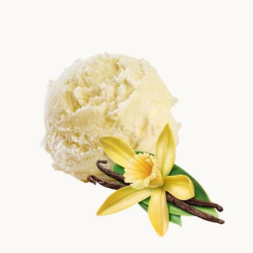 pallina di gelato gusto vaniglia di gusto gelaterie di roma