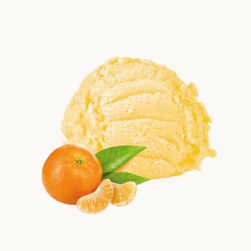 pallina di gelato gusto mandarino di gusto gelaterie di roma