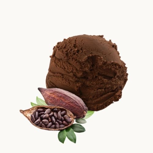 pallina di gelato gusto cacao gusto di gelaterie di roma